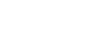 devil.ing-2026-logo_-wit-png